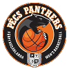 https://img.tn-dn.com/img/basketball/team/910780fe6318e85fae4659d07270bc25.png