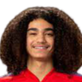 https://img.tn-dn.com/img/football/player/87359ed9061cfd73513d827263deebcd.png